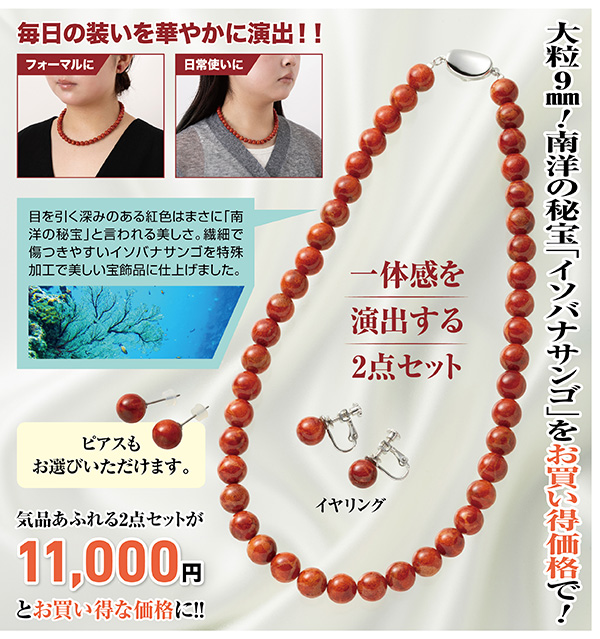 南洋の秘宝 イソバナサンゴ2点セット