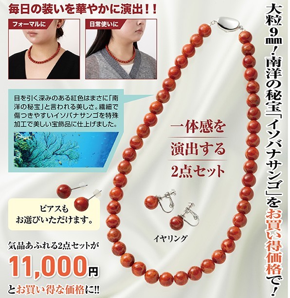 南洋の秘宝 イソバナサンゴ2点セット