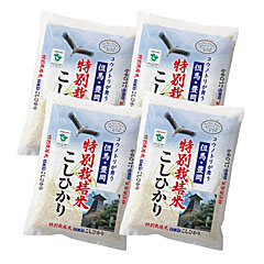 豊岡コシヒカリ米2Kg×4袋
